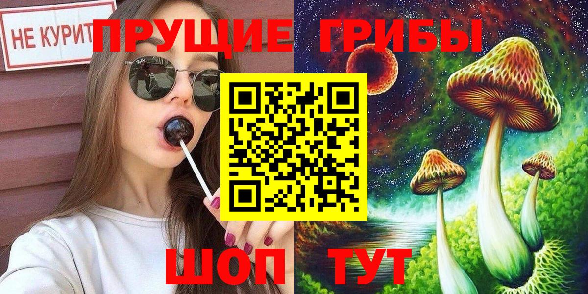Малгобек  Псилоцибиновые грибы Psilocybine cubensis  Вход с VPN 