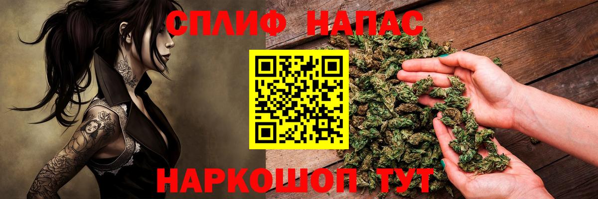Конопля MAZAR Малгобек